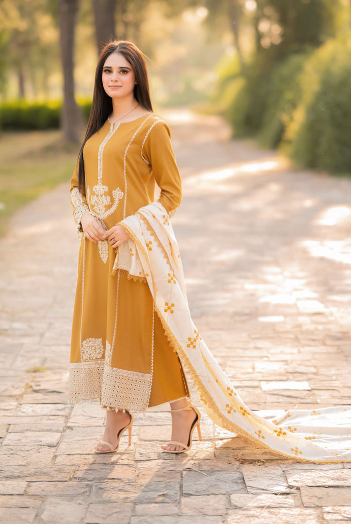 3PC DANAK EMBORIDED SHIRT (DAMAN-PATCH) DANAK EMBORIDED SHAWL PLAIN TROUSER 083-AL